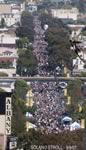 Solano Avenue Stroll 2007